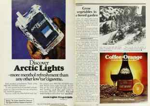 Better Homes & Gardens May 1979 Magazine Article: Page 108