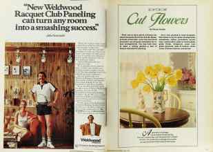 Better Homes & Gardens May 1979 Magazine Article: Page 110