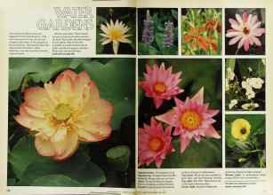 Better Homes & Gardens May 1979 Magazine Article: Page 126