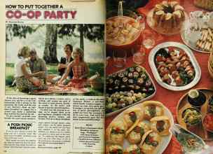 Better Homes & Gardens May 1979 Magazine Article: Page 128