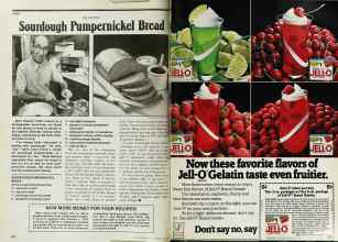 Better Homes & Gardens May 1979 Magazine Article: Page 162