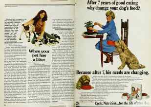 Better Homes & Gardens May 1979 Magazine Article: Page 194