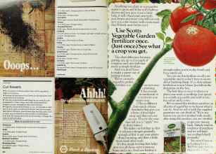 Better Homes & Gardens May 1979 Magazine Article: Page 200