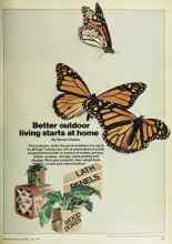 Better Homes & Gardens June 1979 Magazine Article: Better outdoor living starts at home