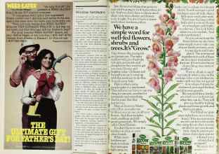 Better Homes & Gardens June 1979 Magazine Article: Page 60