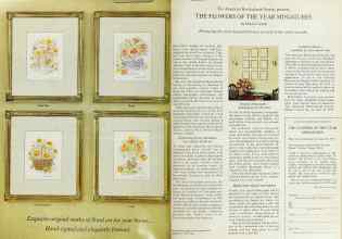 Better Homes & Gardens June 1979 Magazine Article: Page 66