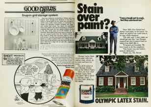 Better Homes & Gardens June 1979 Magazine Article: Page 72