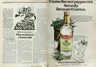 Better Homes & Gardens June 1979 Magazine Article: Page 74