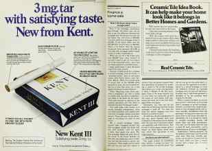 Better Homes & Gardens June 1979 Magazine Article: Page 78