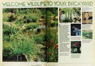 Better Homes & Gardens June 1979 Magazine Article: WELCOME WILDLIFE TO YOUR BACKYARD