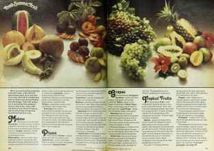 Better Homes & Gardens June 1979 Magazine Article: Page 122