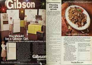 Better Homes & Gardens June 1979 Magazine Article: Page 128