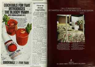 Better Homes & Gardens June 1979 Magazine Article: Page 152