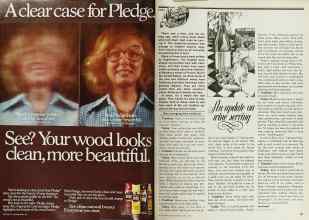 Better Homes & Gardens June 1979 Magazine Article: Page 196