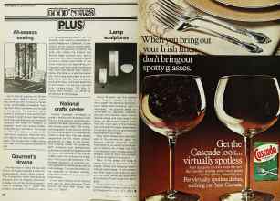 Better Homes & Gardens June 1979 Magazine Article: Page 202