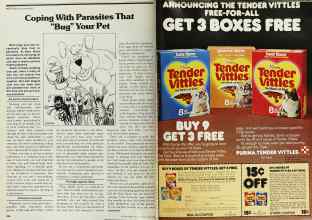 Better Homes & Gardens June 1979 Magazine Article: Page 204