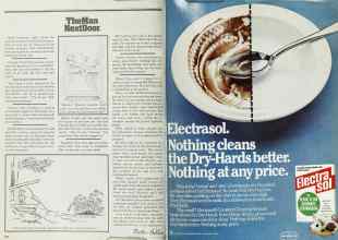 Better Homes & Gardens June 1979 Magazine Article: Page 224