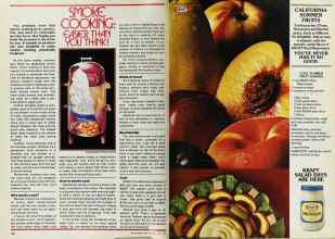 Better Homes & Gardens July 1979 Magazine Article: Page 106