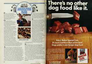 Better Homes & Gardens July 1979 Magazine Article: Page 150