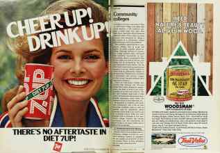 Better Homes & Gardens August 1979 Magazine Article: Page 22