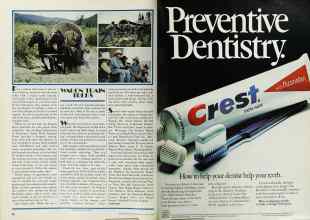 Better Homes & Gardens August 1979 Magazine Article: Page 56