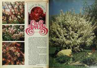 Better Homes & Gardens August 1979 Magazine Article: Page 82