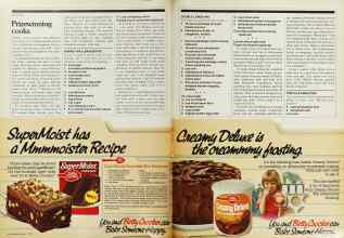 Better Homes & Gardens August 1979 Magazine Article: Page 102