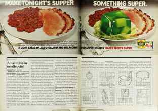 Better Homes & Gardens August 1979 Magazine Article: Page 116