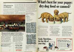 Better Homes & Gardens August 1979 Magazine Article: Page 130