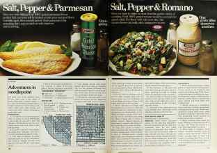 Better Homes & Gardens August 1979 Magazine Article: Page 132