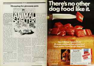 Better Homes & Gardens August 1979 Magazine Article: Page 138