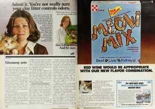 Better Homes & Gardens August 1979 Magazine Article: Page 140