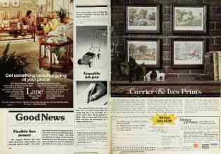 Better Homes & Gardens August 1979 Magazine Article: Page 150