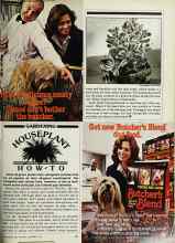Better Homes & Gardens September 1979 Magazine Article: HOUSEPLANT HOW-TO