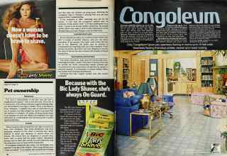 Better Homes & Gardens September 1979 Magazine Article: Page 22