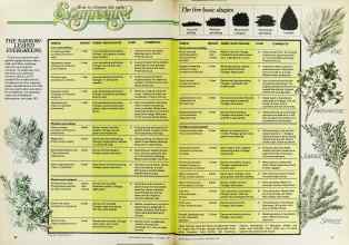 Better Homes & Gardens September 1979 Magazine Article: Page 58