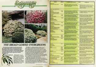 Better Homes & Gardens September 1979 Magazine Article: Page 60
