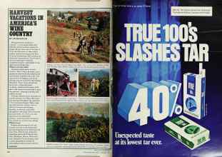 Better Homes & Gardens September 1979 Magazine Article: Page 156