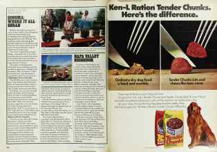 Better Homes & Gardens September 1979 Magazine Article: Page 160