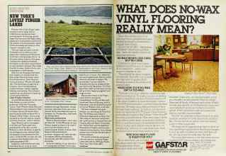 Better Homes & Gardens September 1979 Magazine Article: Page 162