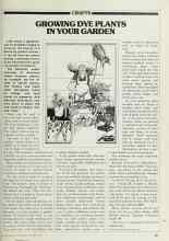 Better Homes & Gardens October 1979 Magazine Article: GROWING DYE PLANTS IN YOUR GARDEN