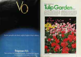 Better Homes & Gardens October 1979 Magazine Article: Page 38