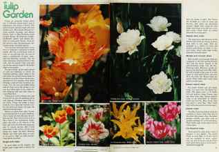 Better Homes & Gardens October 1979 Magazine Article: Page 40