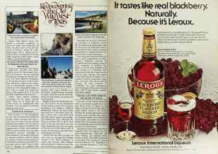 Better Homes & Gardens October 1979 Magazine Article: Page 176