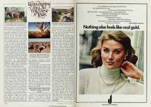 Better Homes & Gardens October 1979 Magazine Article: Page 178