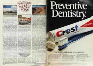 Better Homes & Gardens October 1979 Magazine Article: Page 180