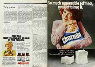 Better Homes & Gardens October 1979 Magazine Article: Page 186