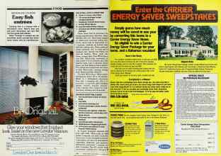 Better Homes & Gardens October 1979 Magazine Article: Page 194