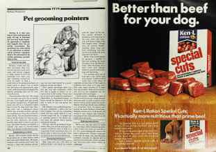 Better Homes & Gardens October 1979 Magazine Article: Page 200