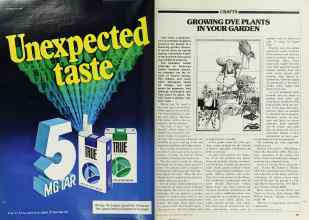 Better Homes & Gardens October 1979 Magazine Article: Page 206
